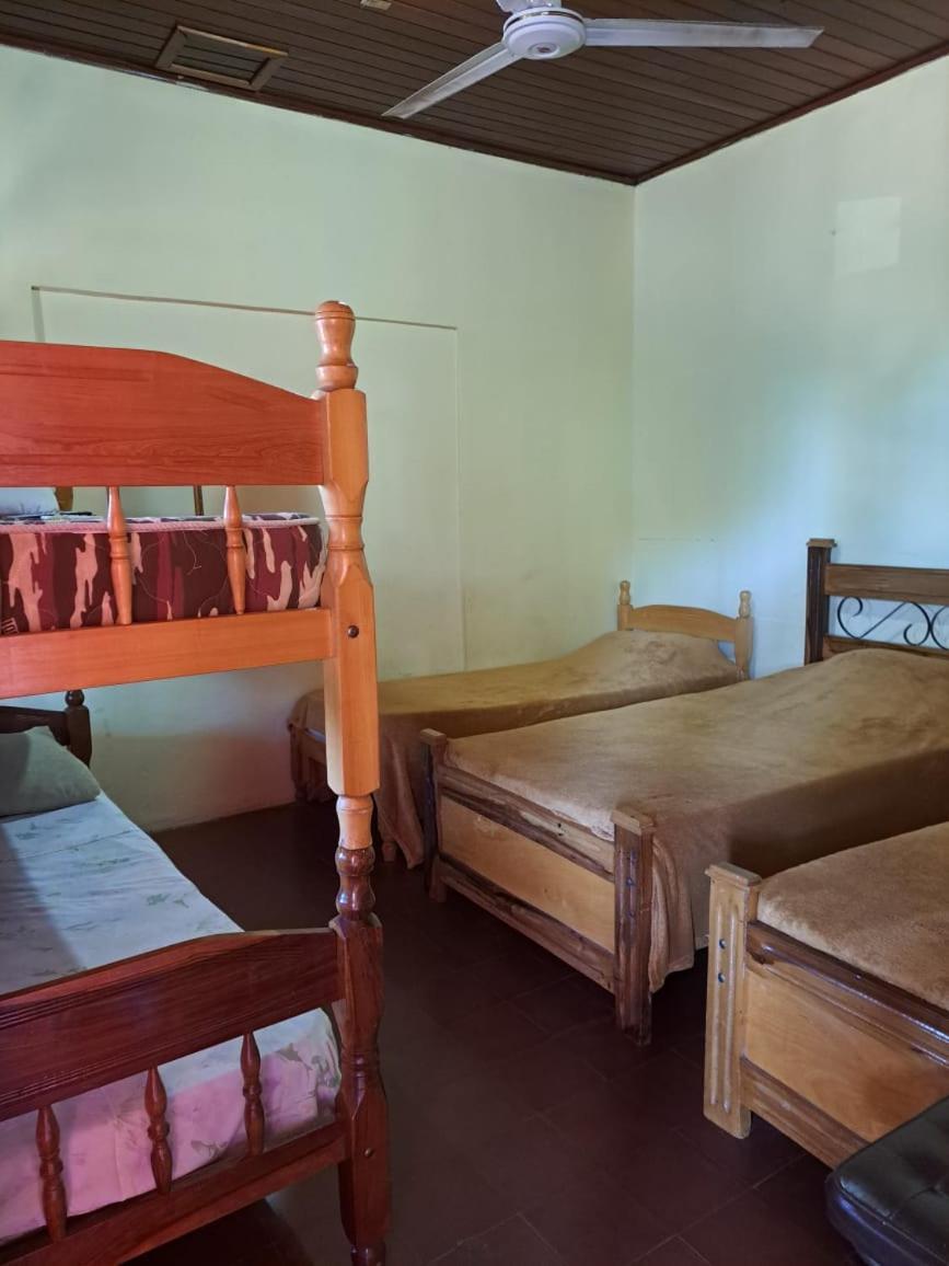 Hummingbird Hostel Ciudad del Este Ngoại thất bức ảnh