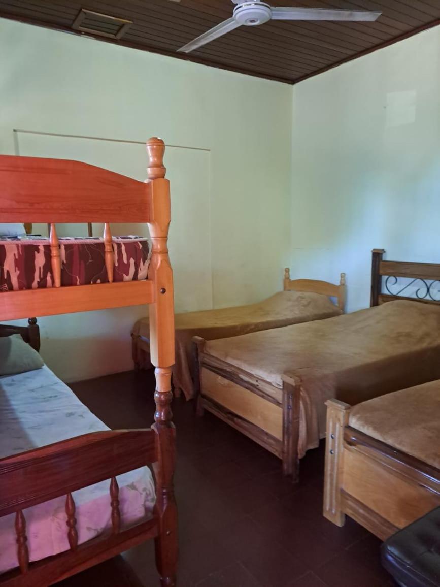 Hummingbird Hostel Ciudad del Este Ngoại thất bức ảnh